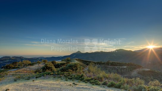 Plot for sale in La Zagaleta, Benahavis