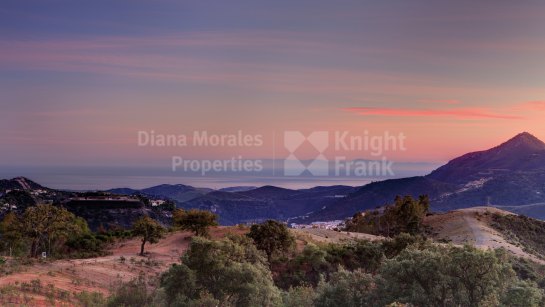 Plot for sale in La Zagaleta, Benahavis