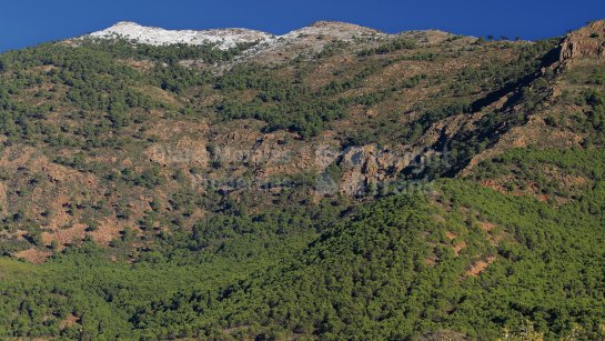 Plot for sale in La Zagaleta, Benahavis