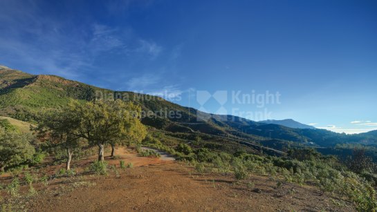 Plot for sale in La Zagaleta, Benahavis