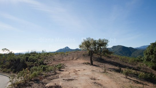 Plot for sale in La Zagaleta, Benahavis