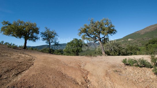 Plot for sale in La Zagaleta, Benahavis