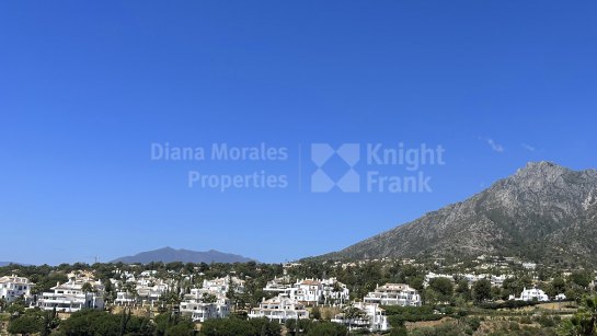 Property Development in Marbella City