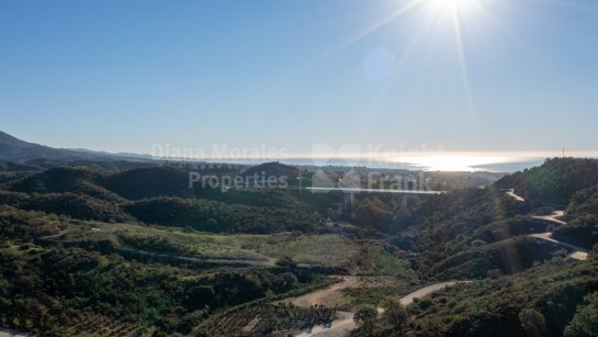 Property Development in Real de La Quinta