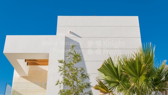 Property Development in Nueva Alcantara
