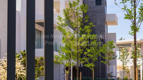 Promoción inmobiliaria en Ojen
