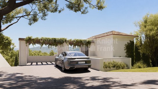 Property Development in Elviria