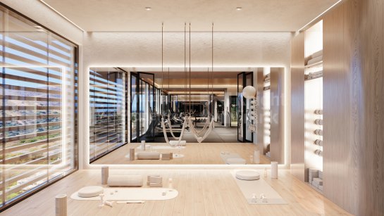 Property Development in Elviria