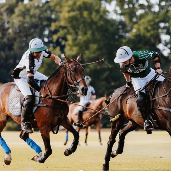 polo match in Sotogrande, featured image for the article 