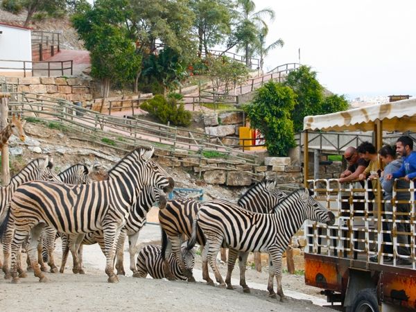 5 Razones por las que Marbella es un lugar fantástico para vivir en familia