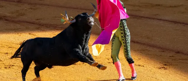 Puerto Banús Bullring