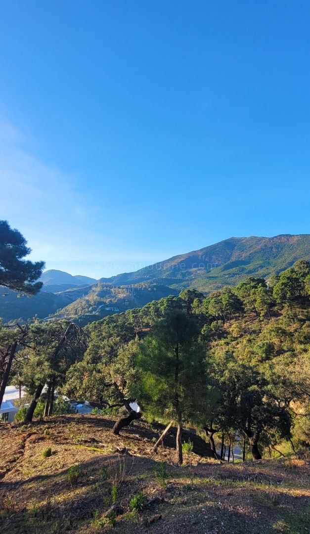 Luxus-Baugrundstück mit Panoramablick in La Zagaleta, Costa del Sol