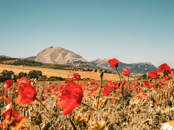 Día de Andalucía: Leitfaden zu regionalen Feiertagen und Traditionen