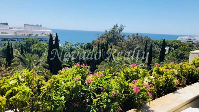 Apartment in Don Gonzalo for rent