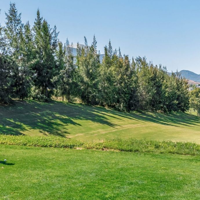 The Best Golf Courses in Marbella