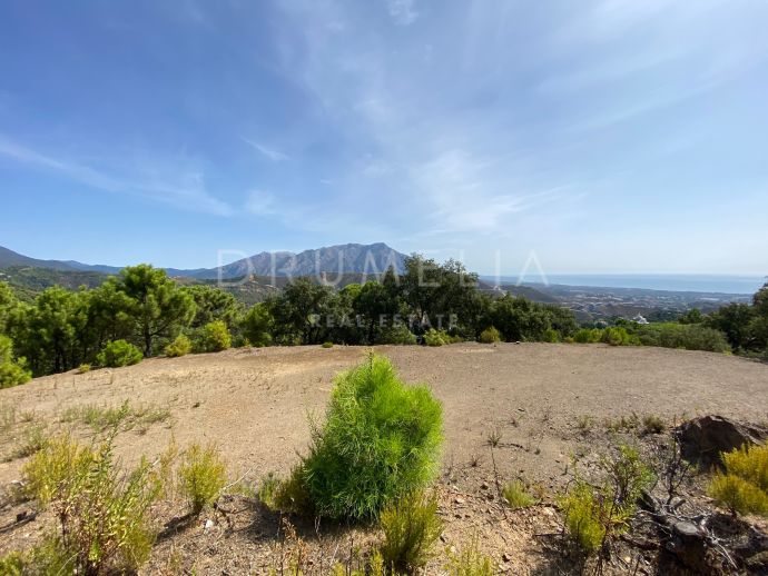 Exclusive Large Plot with Panoramic Views in Elite Zagaleta