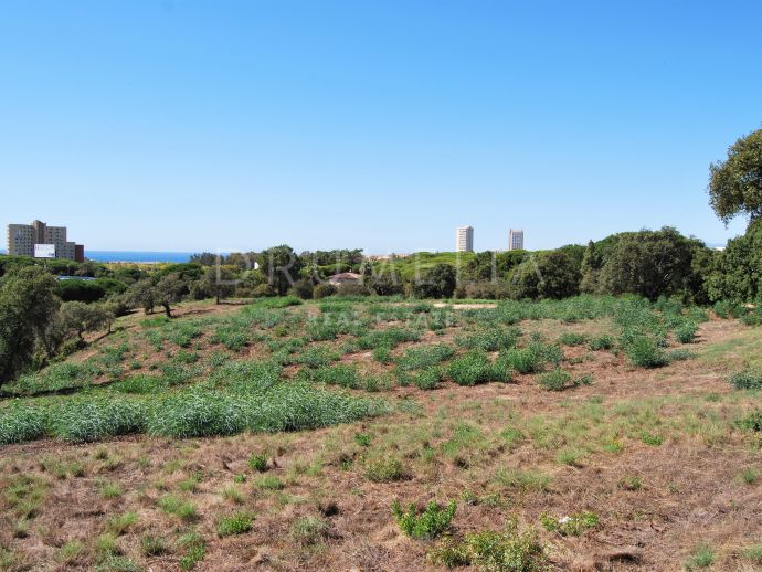 Huge plot for sale in the refined and luxury urbanization of Hacienda Las Chapas, Marbella East.
