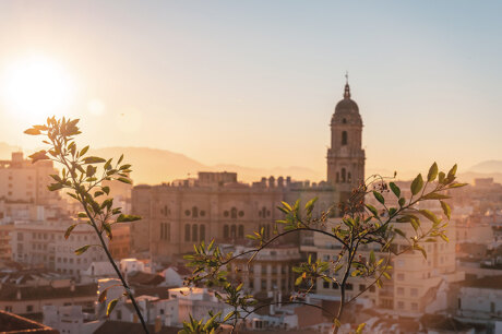 Catedral de malaga
