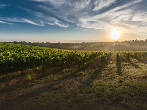 Winter Adventures in Marbella: A Nature Lover’s Guide to the Chilly Season