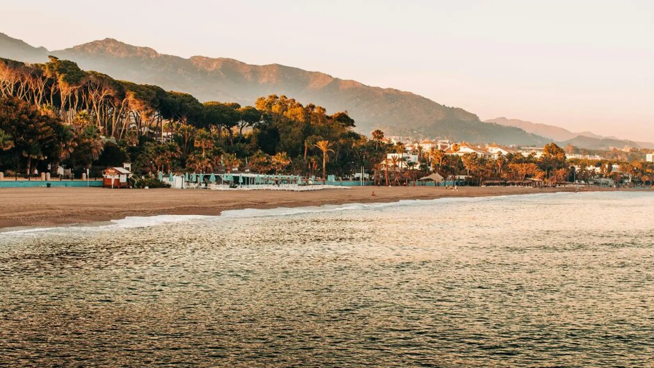 Alberto Webster: Shaping the Future of Luxury Real Estate and Business in Marbella