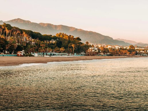 Alberto Webster: Shaping the Future of Luxury Real Estate and Business in Marbella