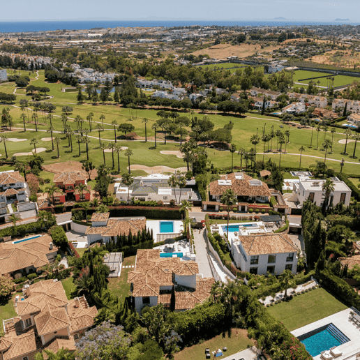 Los Naranjos Area Guide