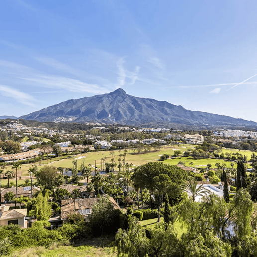 Las Brisas Area Guide