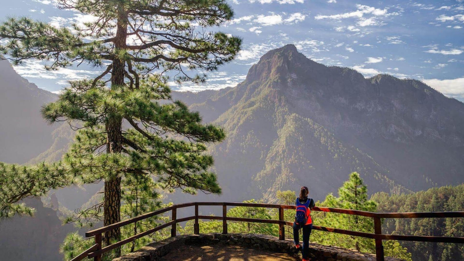 La Palma Area Guide