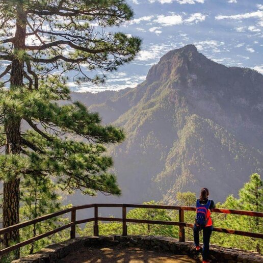 Guía de la zona de La Palma