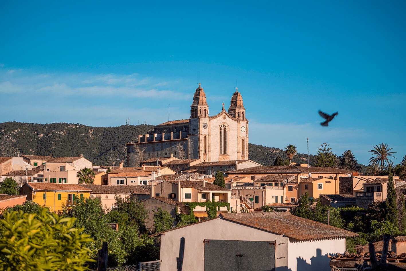 Calvia & Es Capdella Area Guide