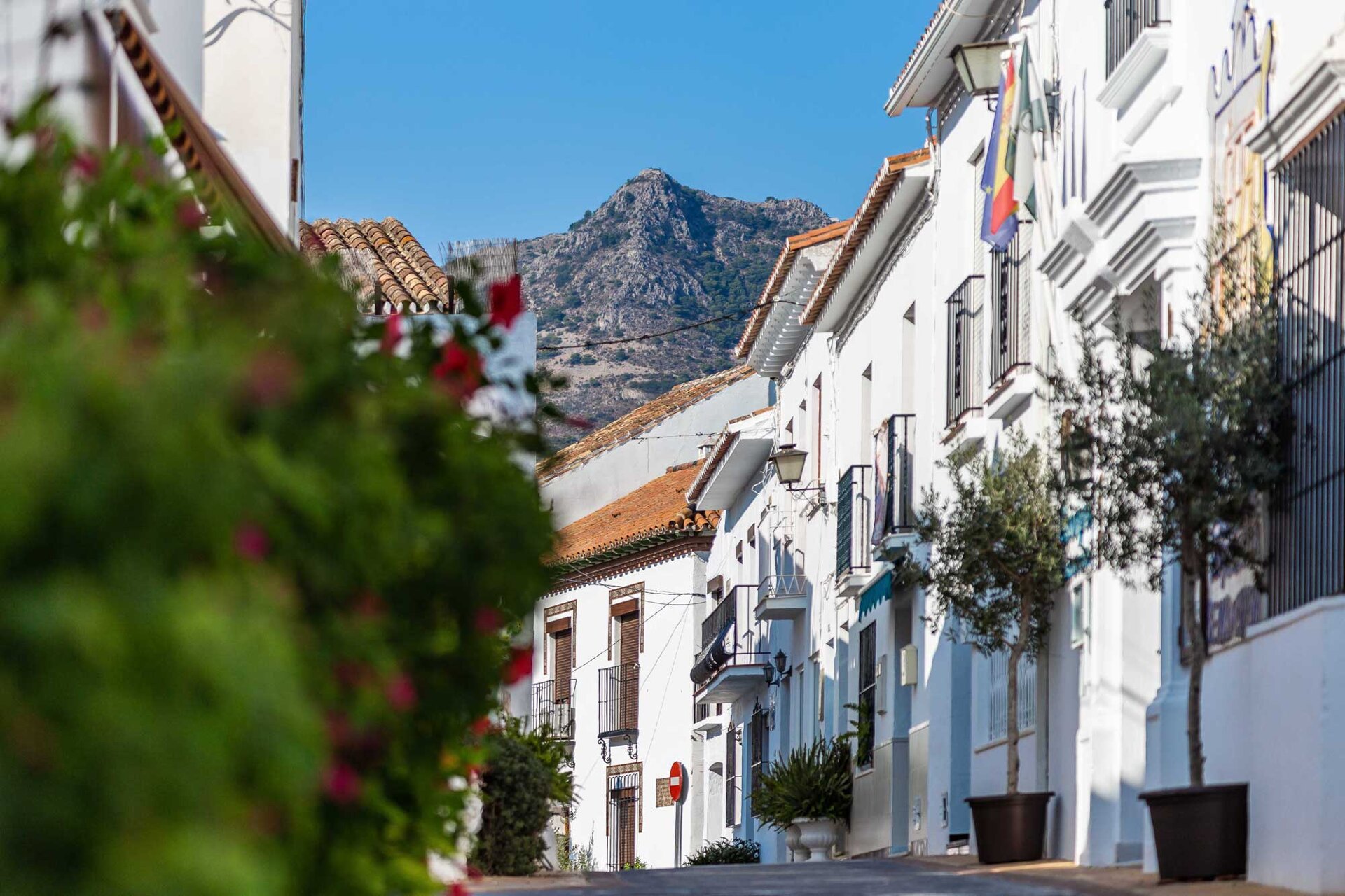 Guía de la Zona de Benalmádena Pueblo