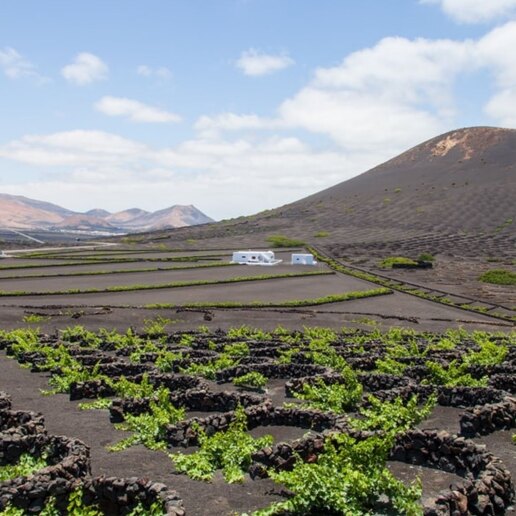 Guía de la zona de Lanzarote