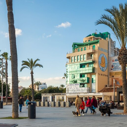 Guía de la zona de Torrevieja