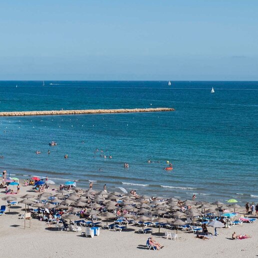 Guía de la zona de Santa Pola