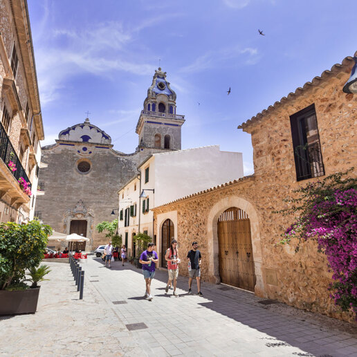 Santa Maria del Camí Områdes Guide