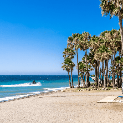 San Pedro Playa Area Guide