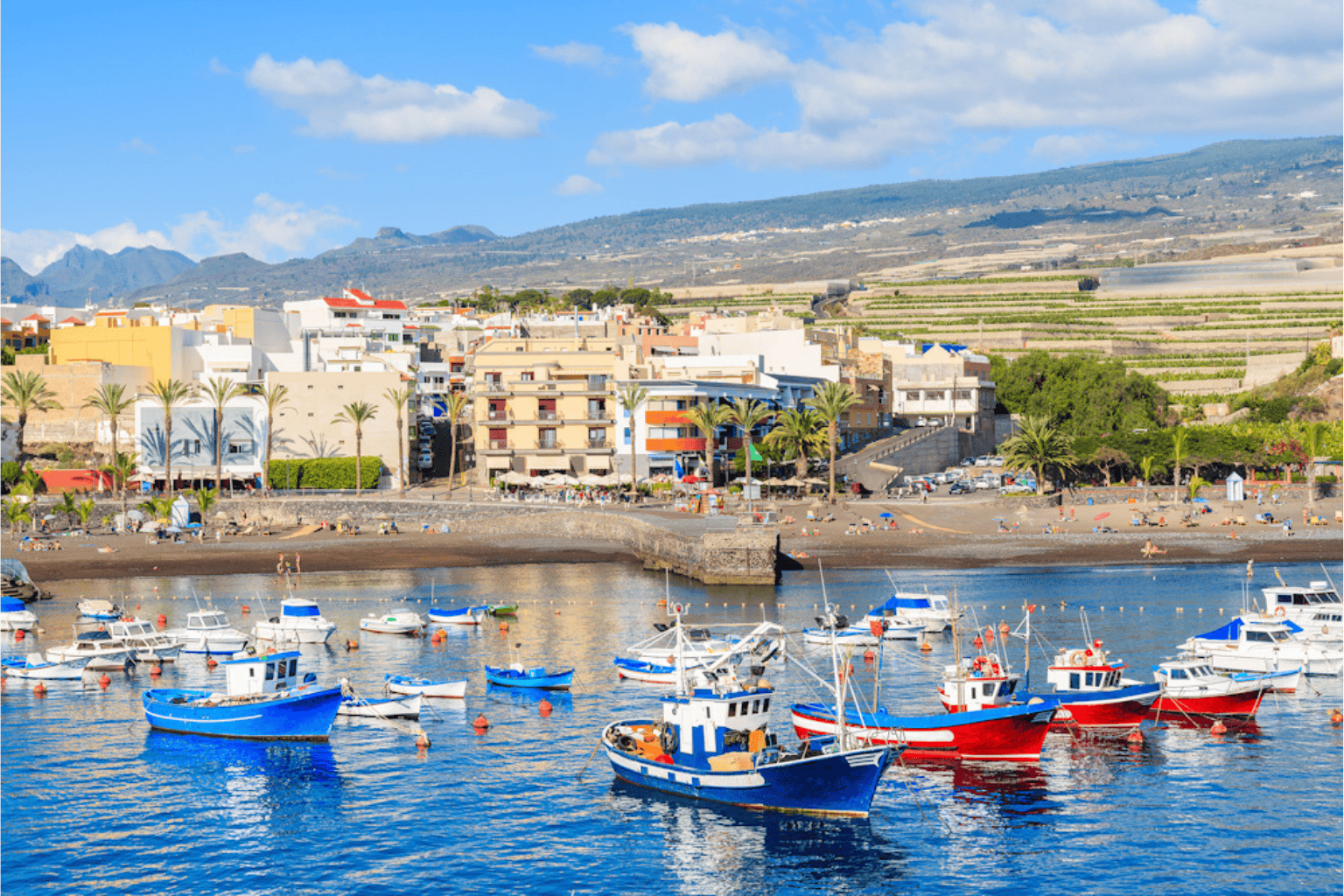 Playa San Juan Area Guide
