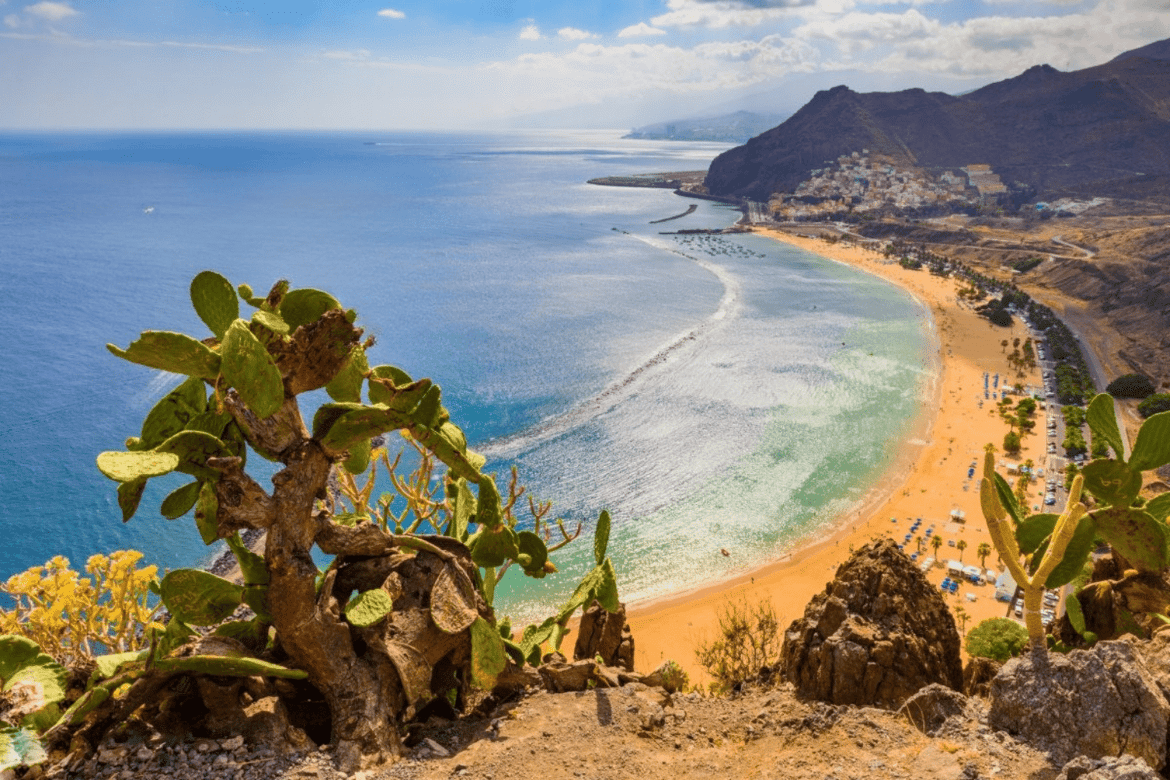Playa San Juan Area Guide
