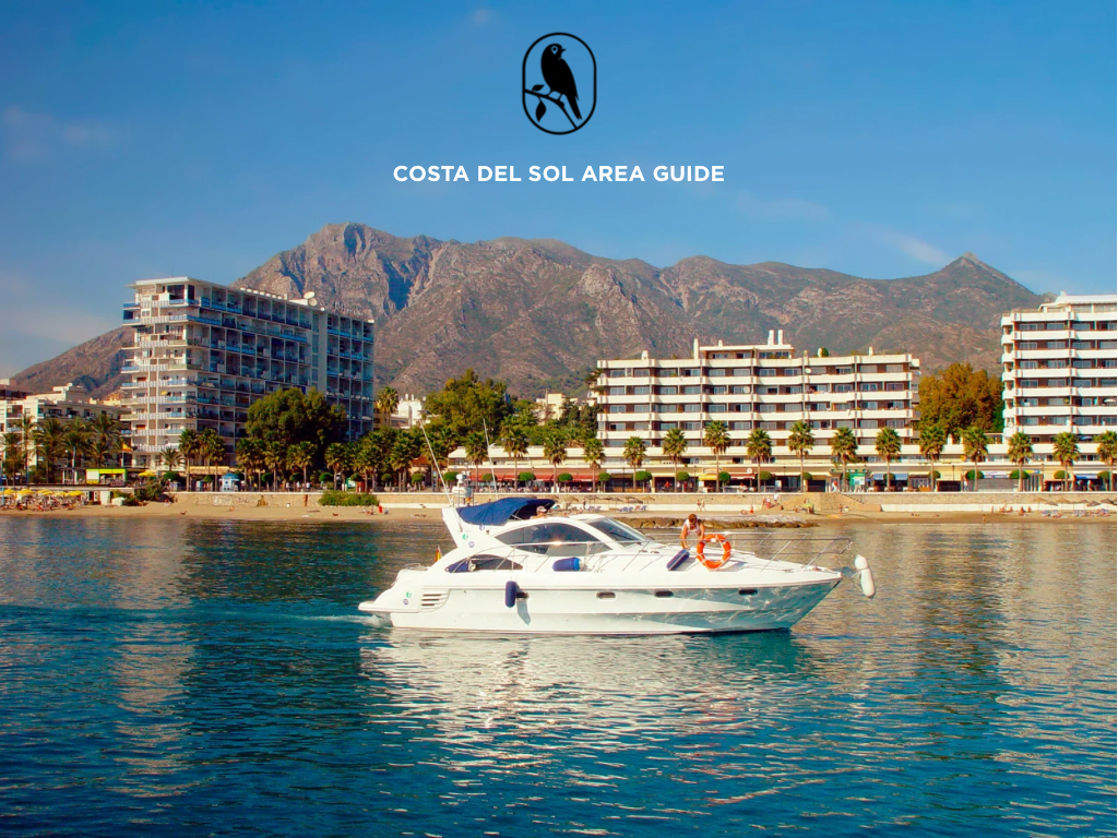 Costa del Sol Area Guide