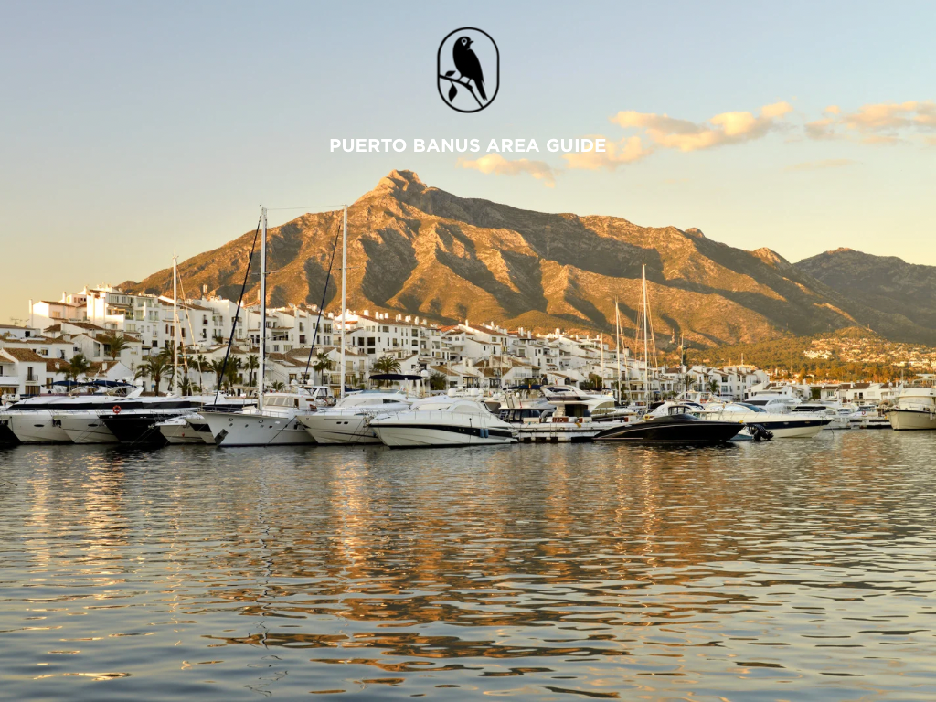 Puerto Banús Area Guide