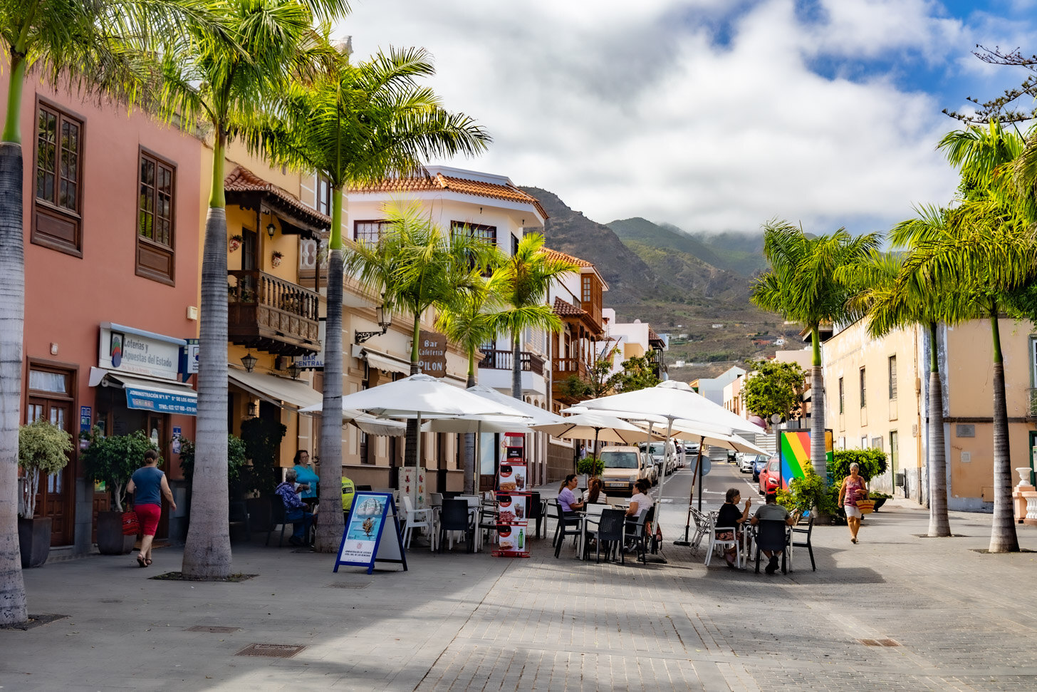 Buenavista del Norte Area Guide