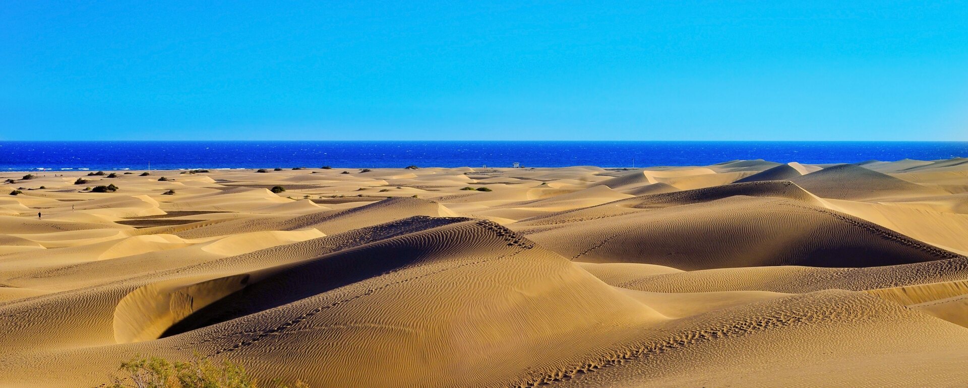 Haven´t found your place in the sun yet?