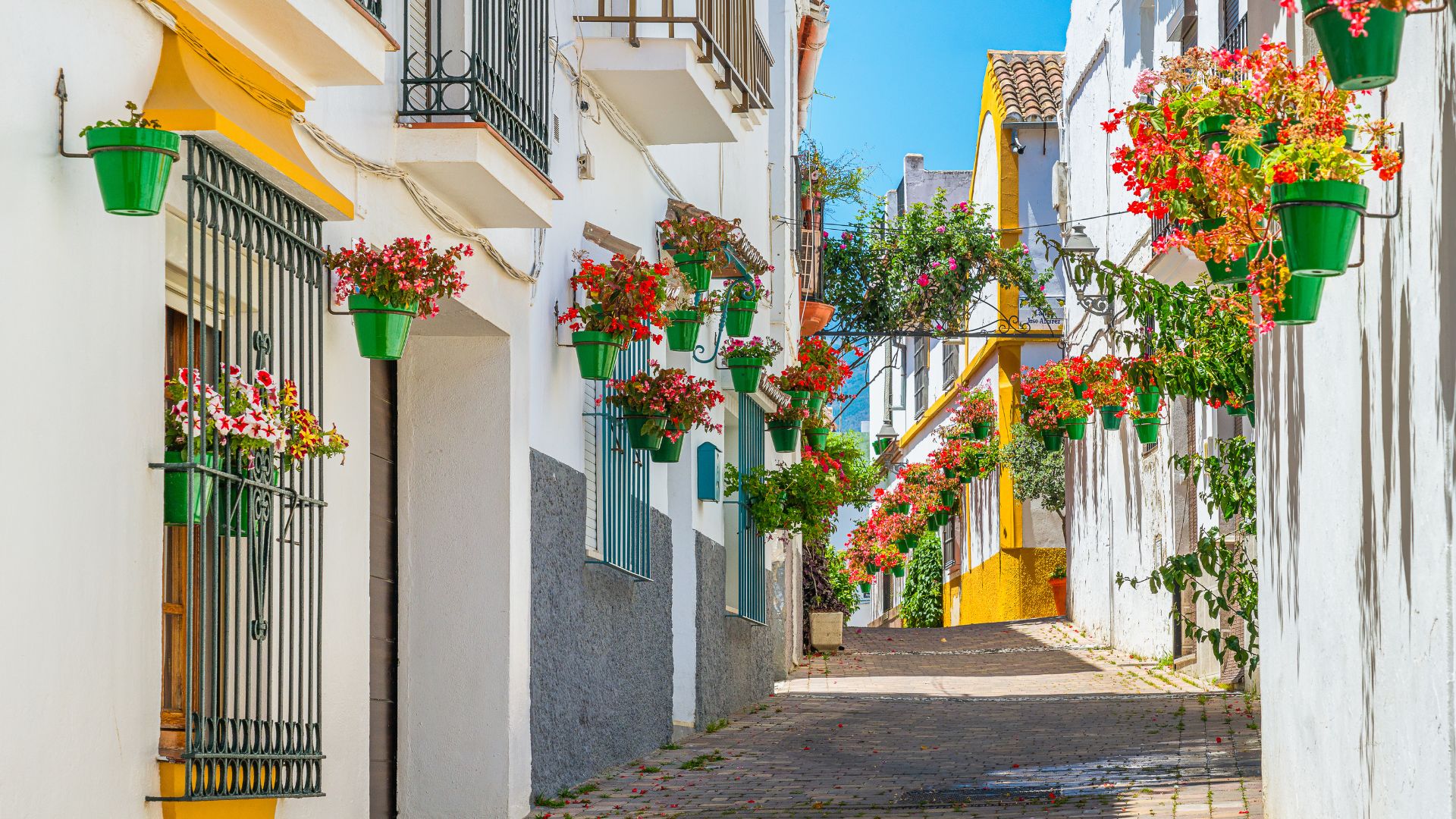 Let us help you find you a dream home in Estepona