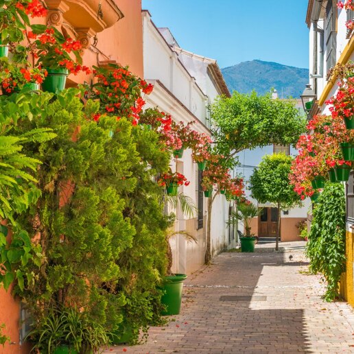 Estepona Områdes Guide