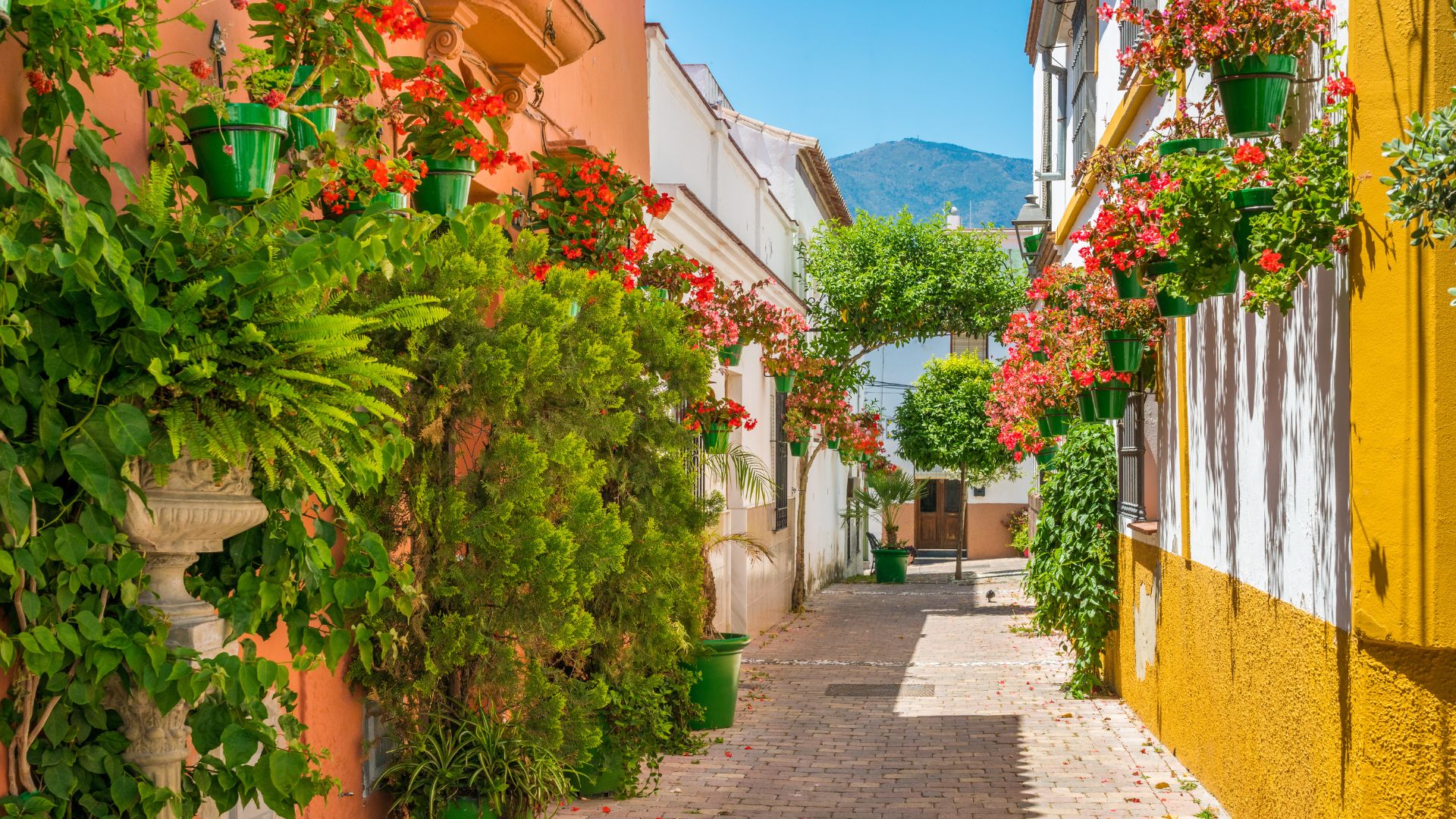 Guía de la zona de Estepona