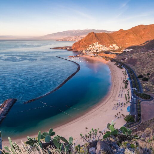 Guía de la zona de las Islas Canarias