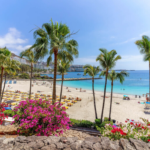Comprar propiedad en Gran Canaria