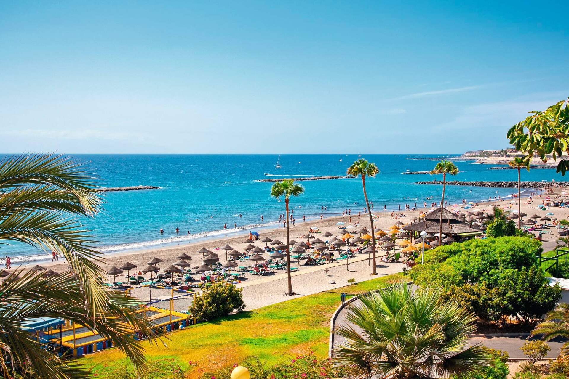 Guía de la zona de Playa de Las Américas