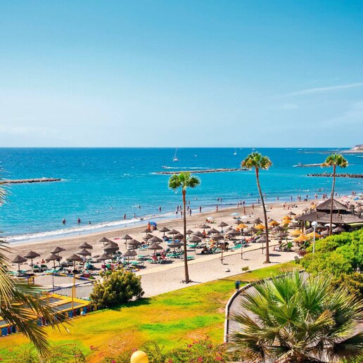 Playa de Las Americas Områdes Guide