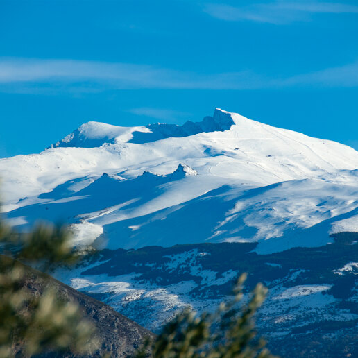 Guía de Sierra Nevada